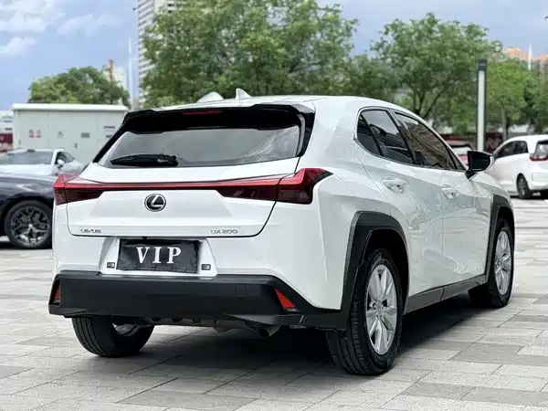 Lexus UX 2020, фото 4