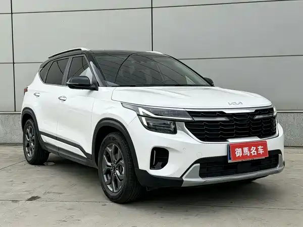 Kia Seltos 2023, фото 3