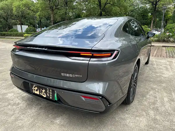 Geely Galaxy Starshine 8 2025, фото 15