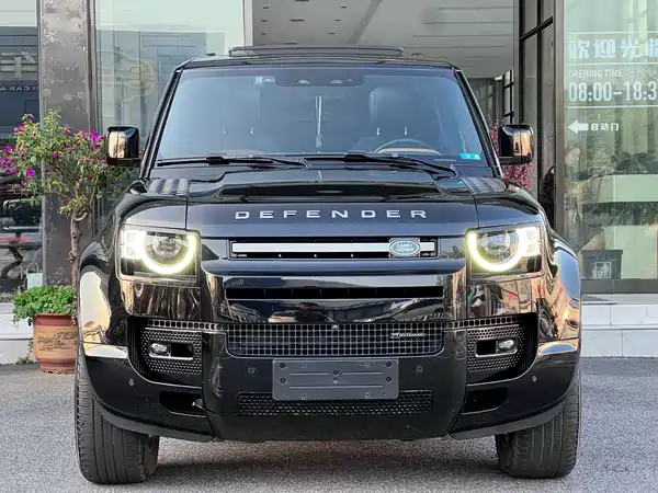 Land Rover Defender 2023, фото 2