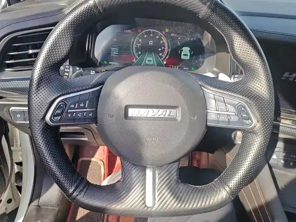 Haval F7 2021, фото 15