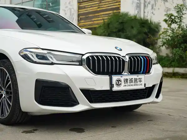 BMW 5 Series 2022, фото 10