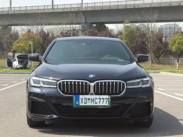 BMW 5 Series PHEV 2022, фото 2