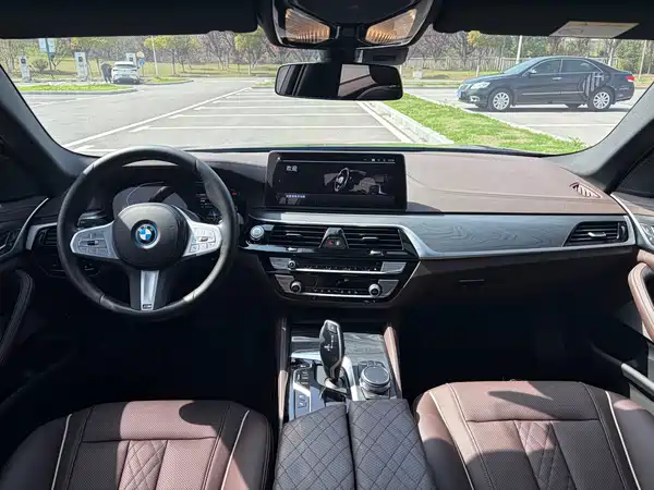 BMW 5 Series PHEV 2022, фото 8