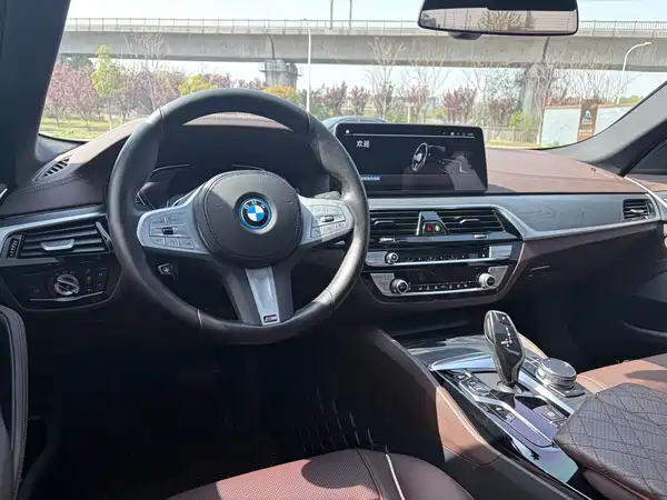 BMW 5 Series PHEV 2022, фото 14