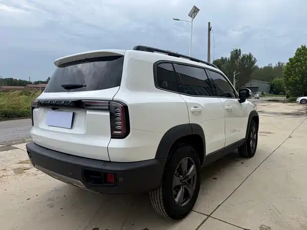 Haval Dargo 2021, фото 7