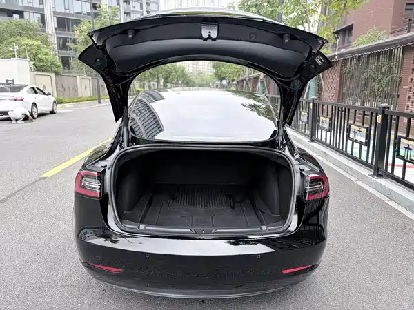 Tesla Model 3 2022, фото 8
