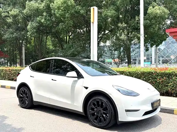 Tesla Model Y 2022, фото 3