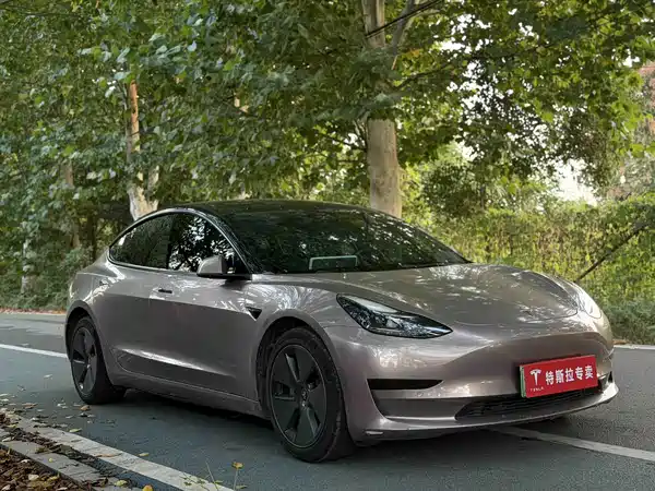 Tesla Model 3 2022, фото 3