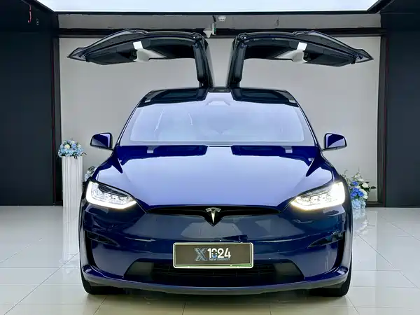 Tesla Model X 2023, фото 2
