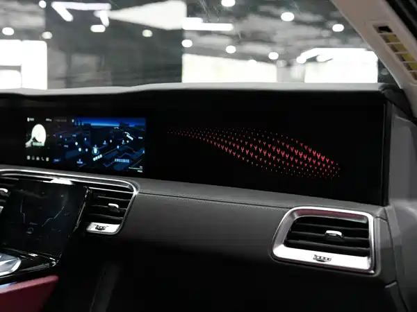Hongqi E-HS9 2021, фото 19