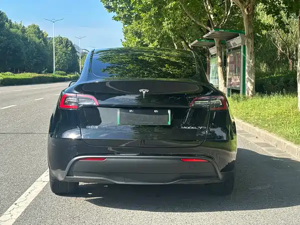 Tesla Model Y 2022, фото 4