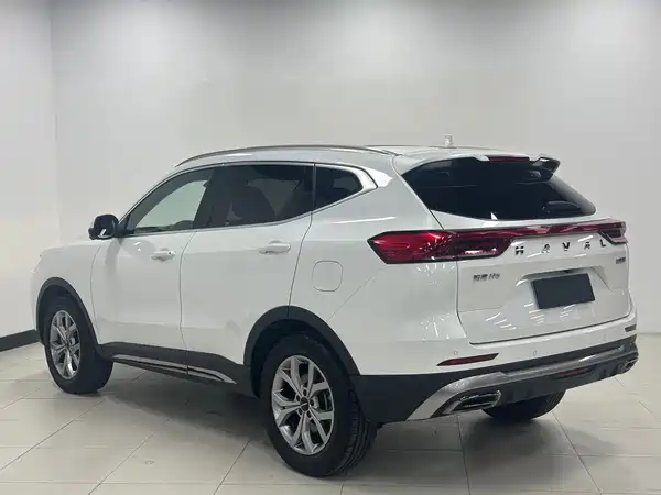 Haval H6 2021, фото 7