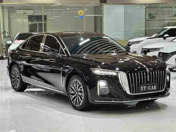 Hongqi H5 2024, фото 3