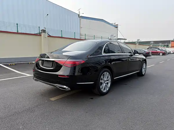 Mercedes-Benz S-Class 2022, фото 15