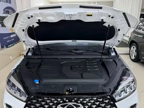Chery Tiggo 7 2022, фото 24