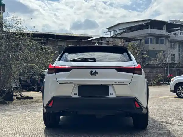 Lexus UX 2022, фото 8