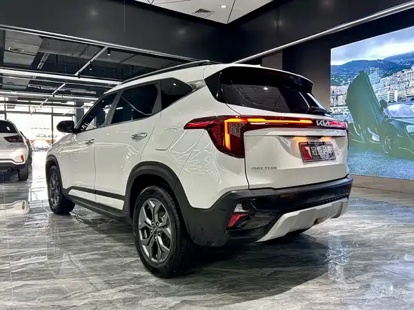 Kia Seltos 2023, фото 7