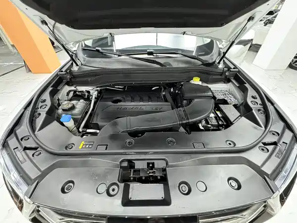 Haval H6 2021, фото 21
