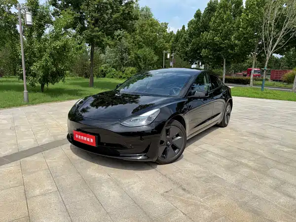 Tesla Model 3 2022