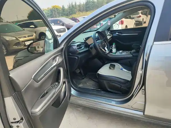 BYD Destroyer 05 2024, фото 15