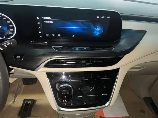 Buick GL8 2022, фото 12