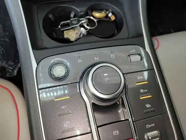 BYD Destroyer 05 2022, фото 13