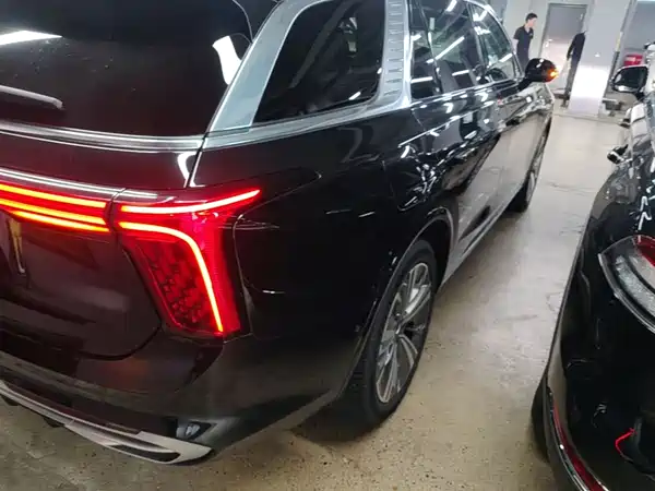 Hongqi E-HS9 2022, фото 8