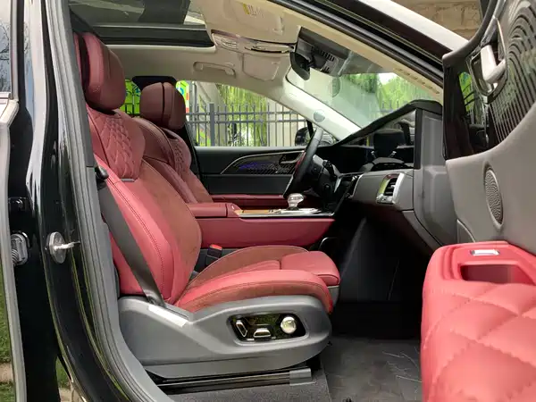 Hongqi E-HS9 2022, фото 13