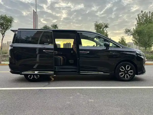 Hongqi HQ9 PHEV 2024, фото 8