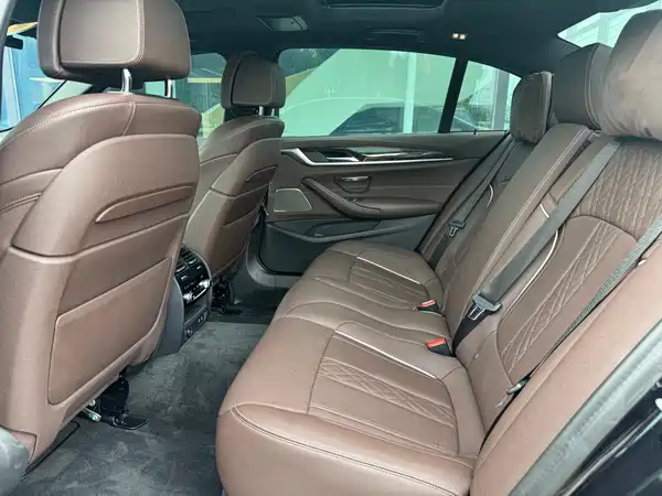 BMW 5 Series 2022, фото 15