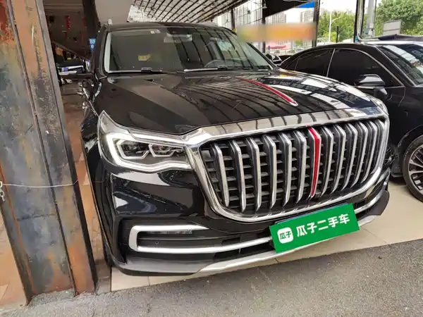 Hongqi HS7 2021, фото 4
