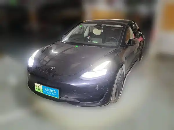 Tesla Model 3 2022
