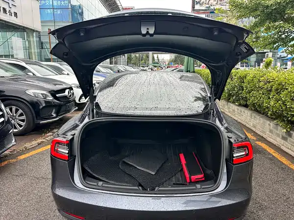 Tesla Model 3 2022, фото 5