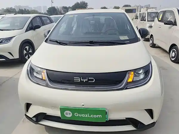 BYD Dolphin 2025, фото 3