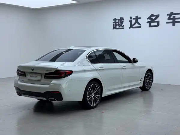 BMW 5 Series 2023, фото 19