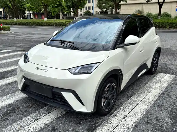BYD Seagull 2023