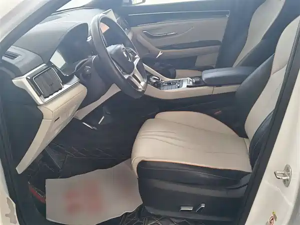 BYD Song PLUS EV 2021, фото 15