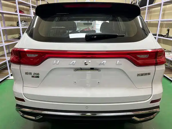 Haval M6 2021, фото 5