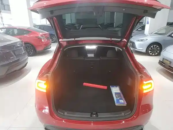 Tesla Model Y 2022, фото 18