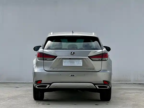 Lexus RX 2020, фото 7