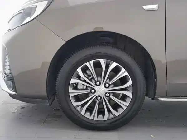 Buick GL8 2023, фото 17