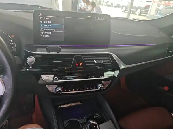 BMW 5 Series PHEV 2022, фото 10
