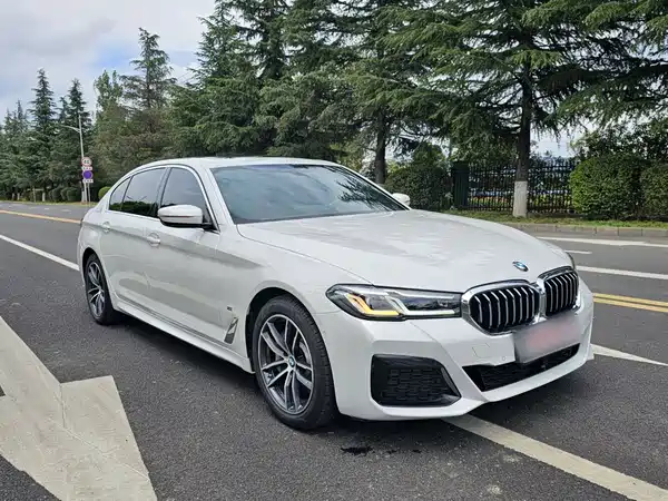 BMW 5 Series PHEV 2022, фото 12