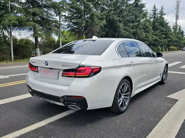 BMW 5 Series PHEV 2022, фото 14