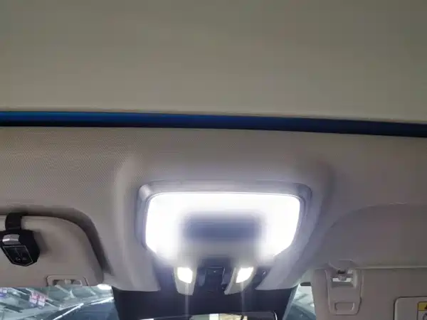 Hongqi E-HS9 2022, фото 18
