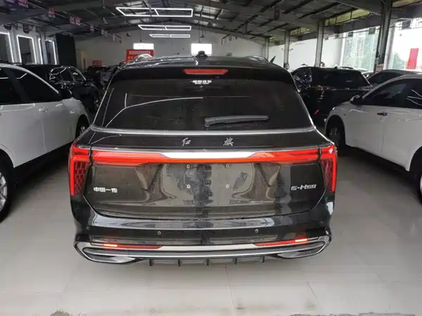 Hongqi E-HS9 2022, фото 6