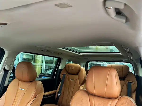 Hongqi HQ9 2023, фото 10