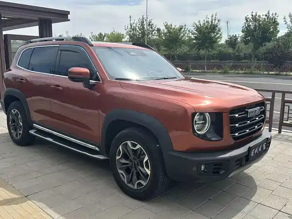 Haval Dargo 2021, фото 3