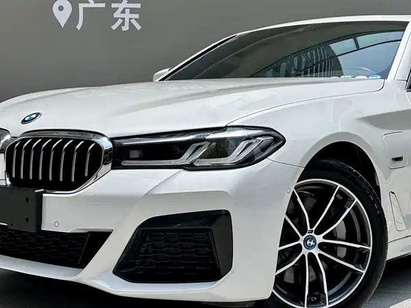 BMW 5 Series PHEV 2022, фото 14